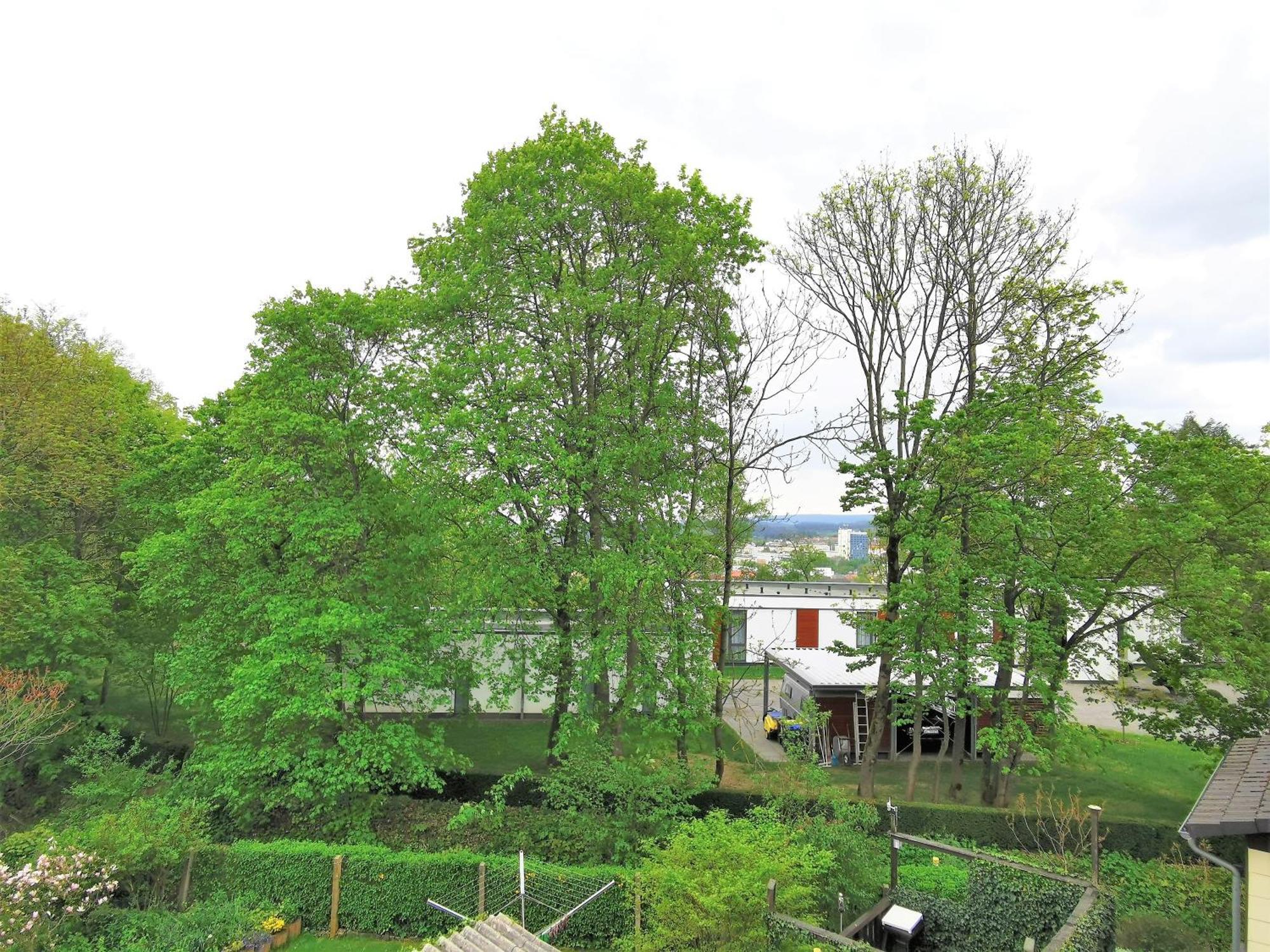 Bohnapartments - Stadtblick Zechenhaus - Balkon - Gratis Parkplatz - Wlan - Sehr Ruhig - Barrierearm Ilmenau Zewnętrze zdjęcie