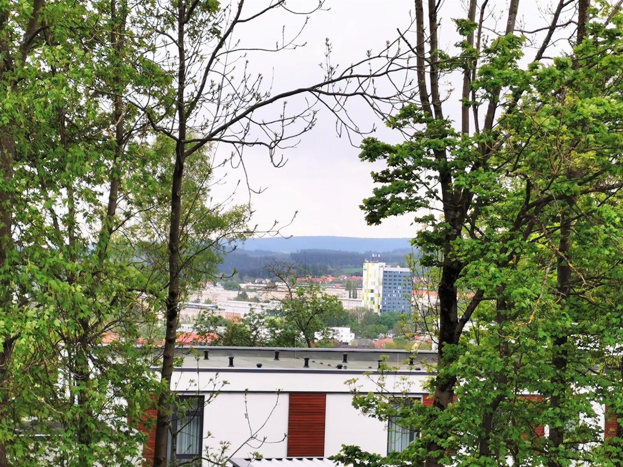 Bohnapartments - Stadtblick Zechenhaus - Balkon - Gratis Parkplatz - Wlan - Sehr Ruhig - Barrierearm Ilmenau Zewnętrze zdjęcie